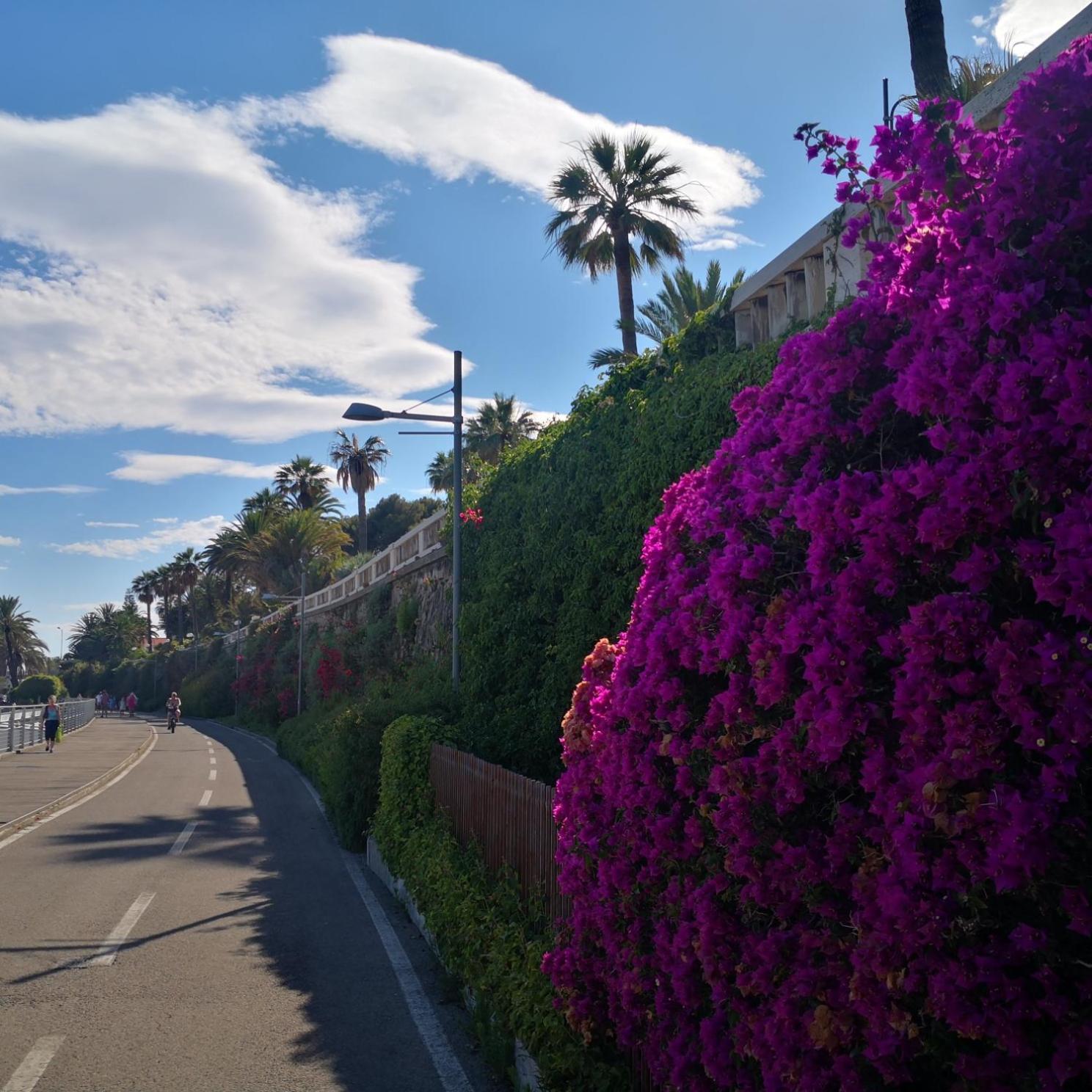 Petit Avec Classe Sanremo Exterior photo